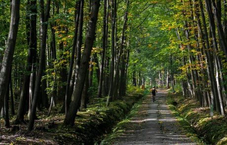 ספורט אתגרי בצפון