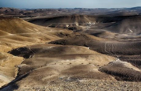 אקסטרים בארץ