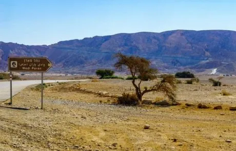 השכרת ציוד לאירועים בדרום